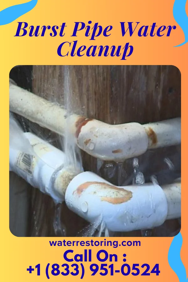 Burst Pipe Water Cleanup in Maeystown, IL