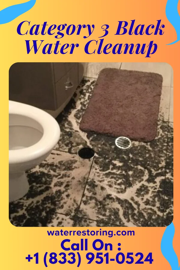 Category 3 Black Water Cleanup in Maeystown, IL