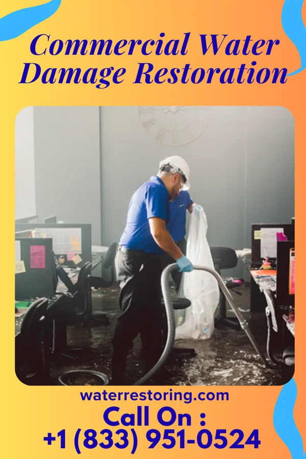 Commercial Water Damage Restoration in Maeystown, IL