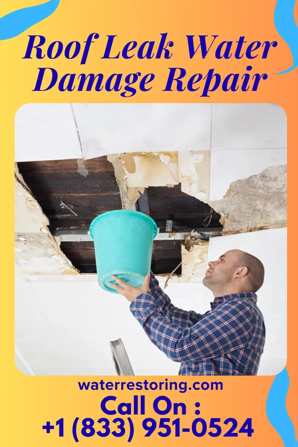 Roof Leak Water Damage Repair in Maeystown, IL
